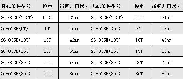 碼頭10噸電子吊秤