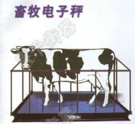 常規(guī)牲畜稱