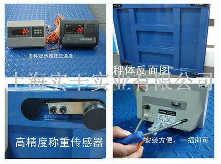 連接電腦電子磅秤