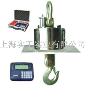 耐高溫電子吊磅